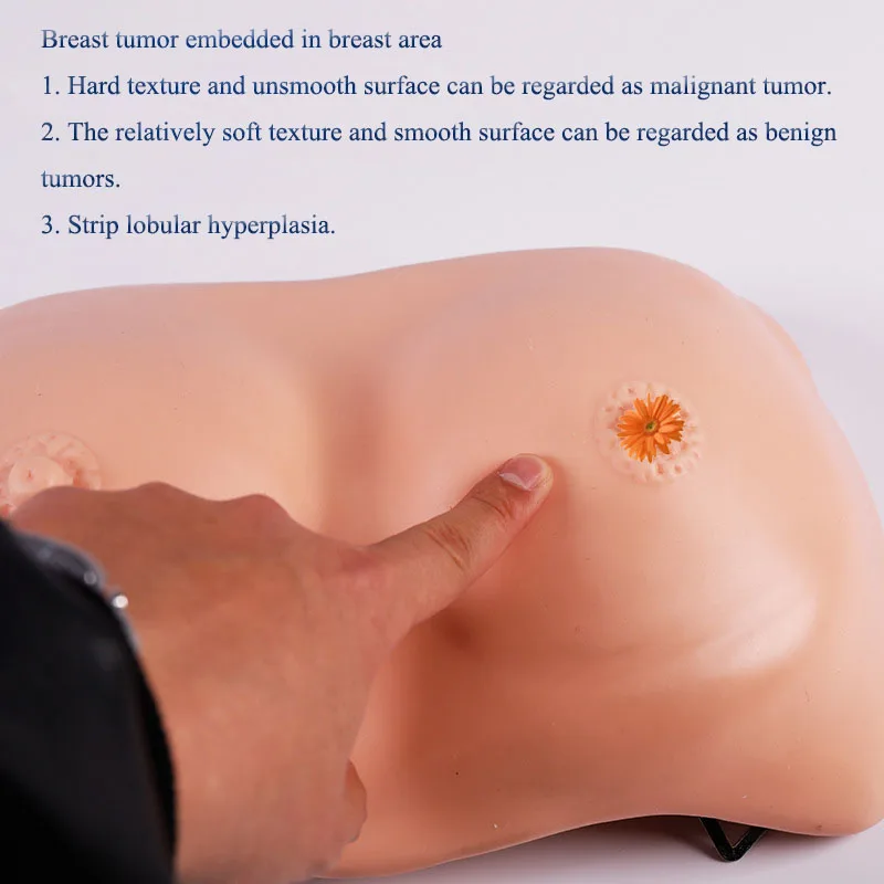 Breast Massager Examines Injection Models Training and Practice of Advanced Breast Examination Model for Female Breast Model