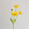 Poppy yellow