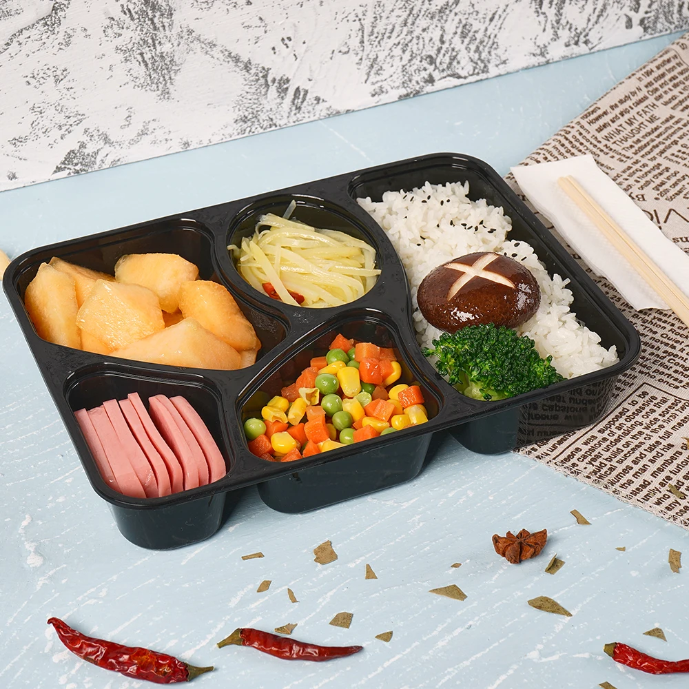 Restaurant Wholesale Disposable Bento Boxes 9.5x7.1x1.8 (SAMPLE)