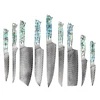 Set di coltelli Damacus