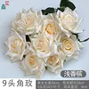 9-headed rose XH light champagne