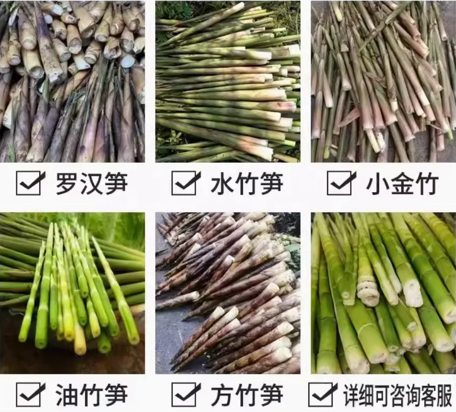 自動タケノコ皮むき機/タケノコ皮むき機/羅帆タケノコ殻むき機