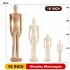 16 Inch [42cm] Wooden Mannequin