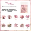 C Les fleurs fleurissent comme prévu-rose