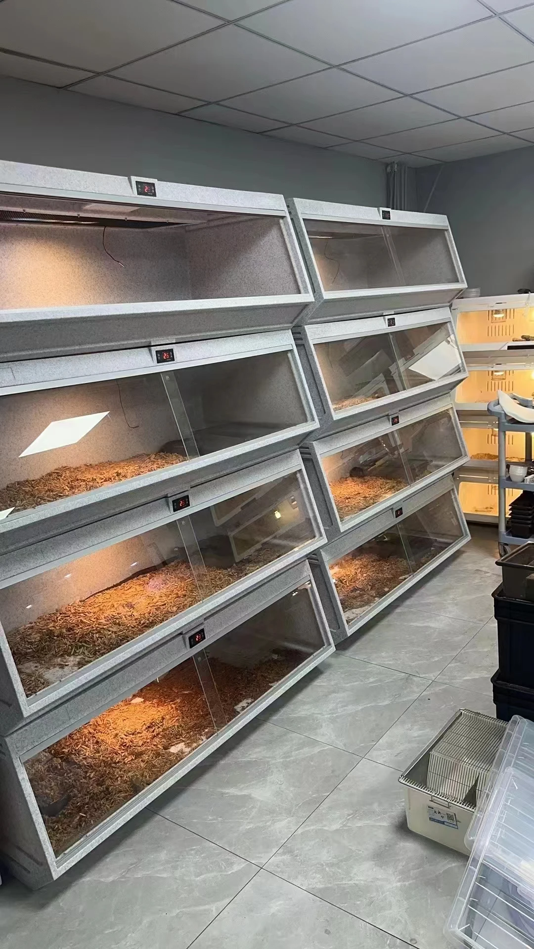 Custom Reptile Snake Enclosure - Durable & Safe Display Tank