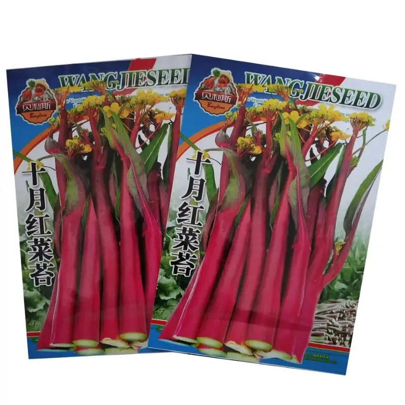 courir en brassière