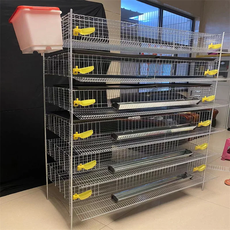 H Type Quail Cage For Quail Farm Factory Direct Quail Cage - Buy Quail
