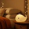Little whale colorful