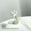Dahlia