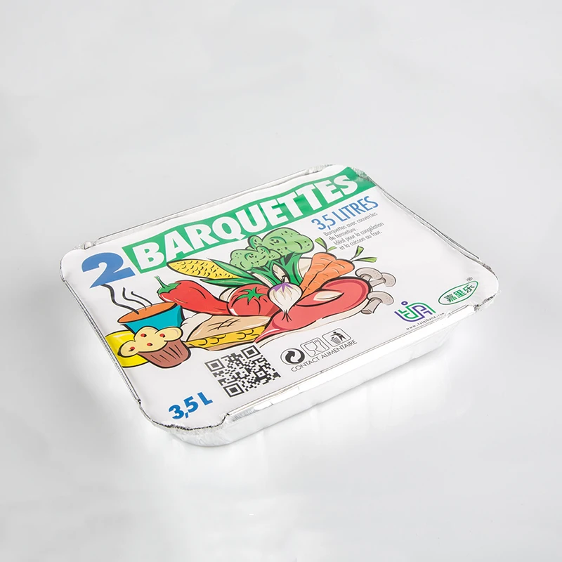 TIA CA62 Non-Toxic Harmless 10.5inch square Plate 3000ML New Disposable Foil Container Lids