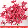 Paquete de 10 unidades de orquídeas "Rose Red Flame" de 6 cabezas.