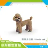 PL127-2586 Cachorros de caniche 11g