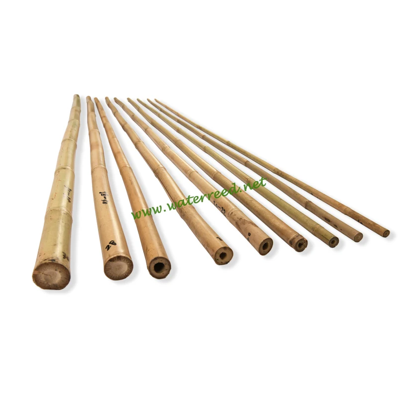 Bamboo Poles For Plant