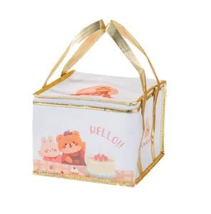 Large Tote Cold Thermal Promotion Insulated Food Delivery Cooler Bag