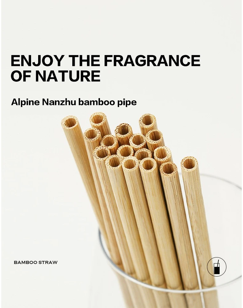 Natural Bamboo Straws Eco Alternative to Plastic Straws for Beverage Drinking