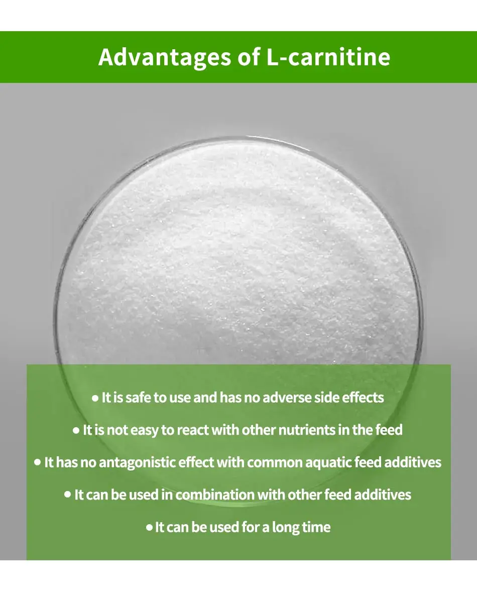 Nutrition Supplement Livestock Cow Growth Promoter 50 98 Lcarninine