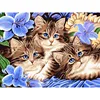 180 three cats