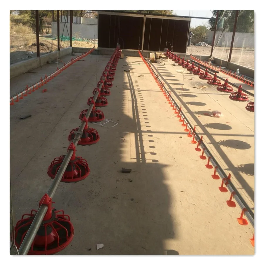 Full Set Automatic EC Type Closed Poultry Shed Equipment for Broiler