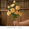 3 Champagne Roses with Burnt Edges