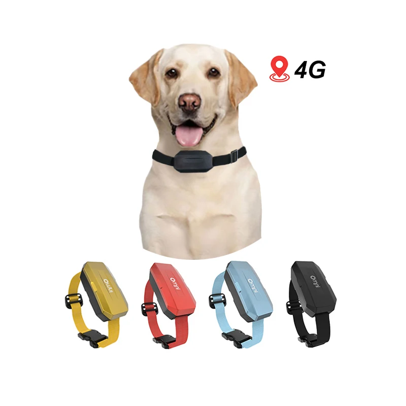Custom Worldwide Use Gps Gsm Gprs Tracking Device Animal 3G 4G Chip Mini Gps Tracker for Dog Cat