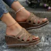 colorful Khaki