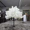 cherry blossom tree 1