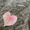 Pink white