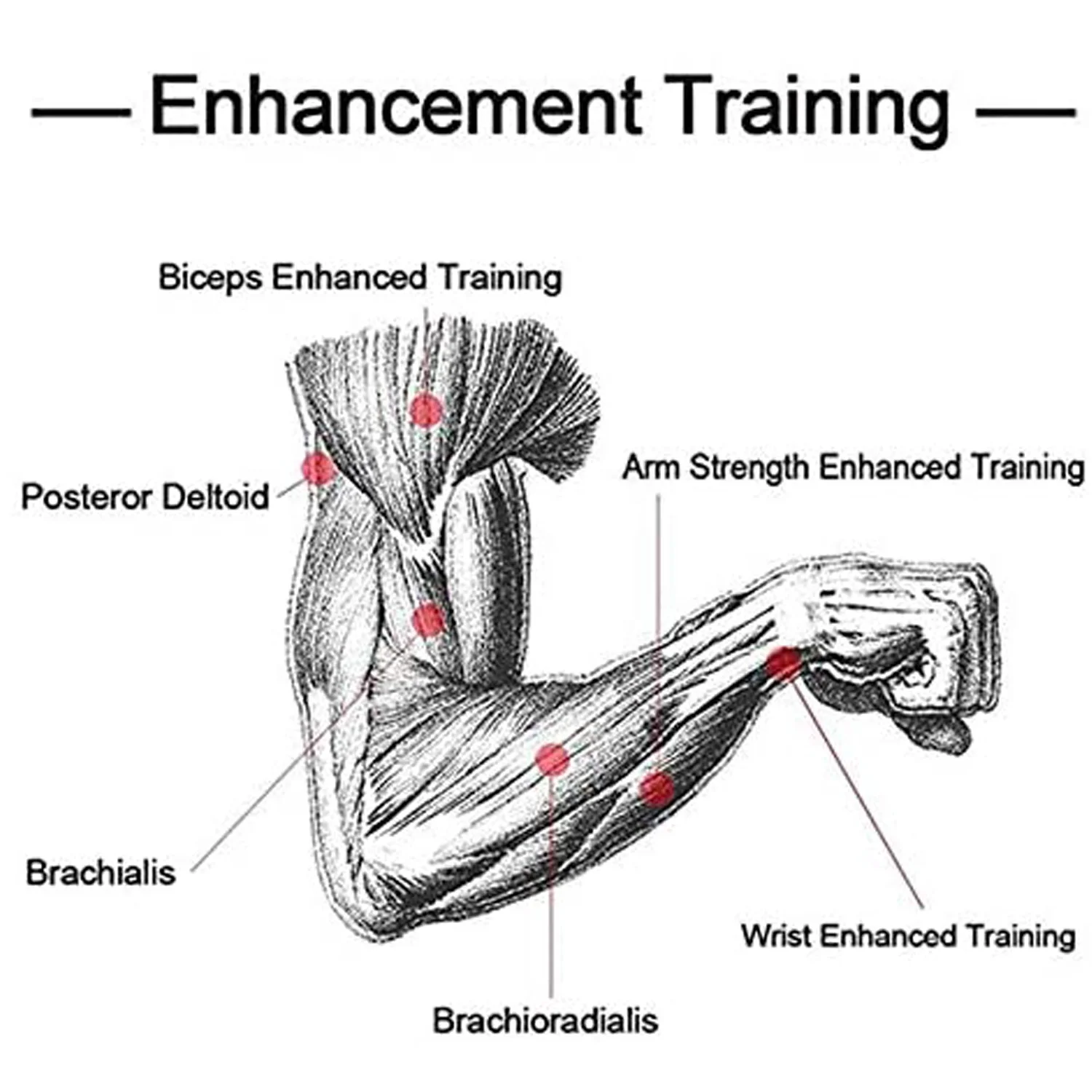 Forearm Trainer Exercise The Arm And Forearm Muscle Armwrestling With