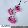 3-headed burl rose YB 9 deep pink