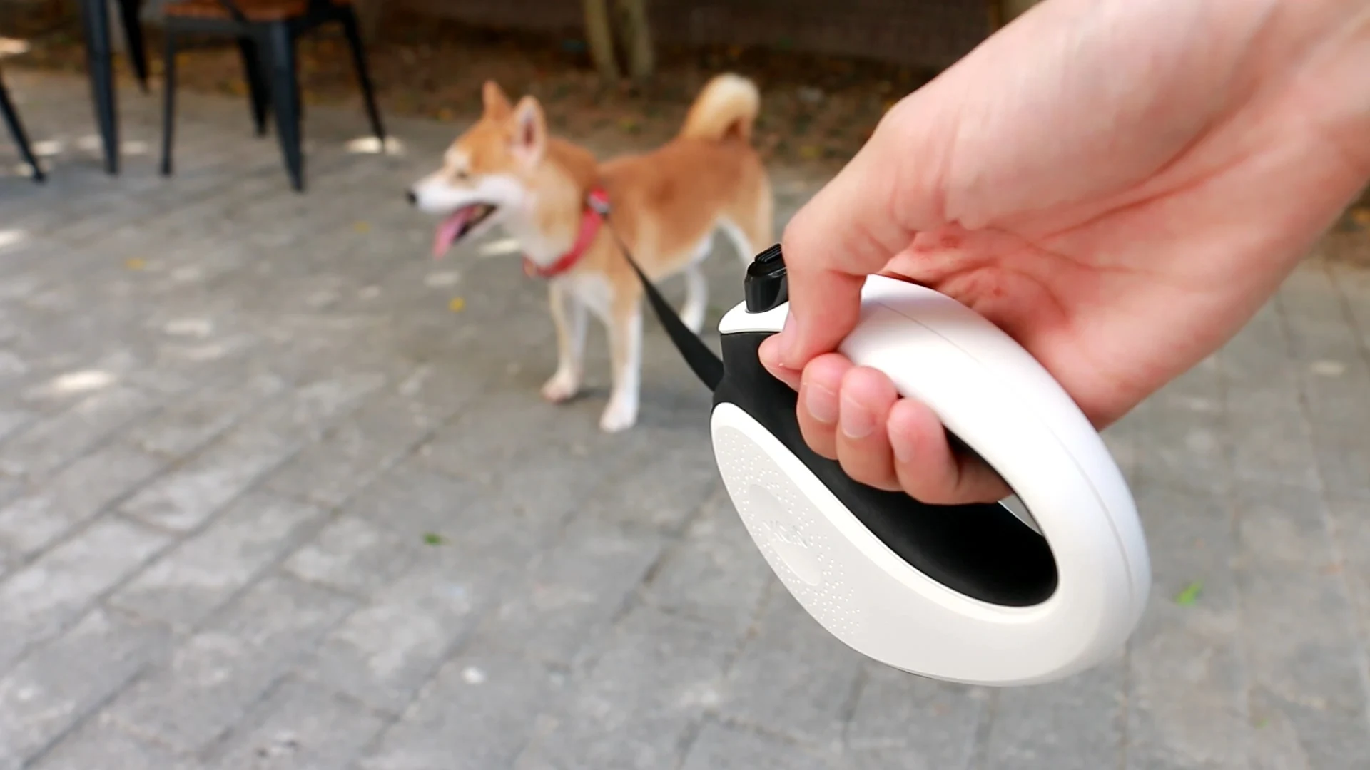 Tanglefree Retractable Dog Lead With Antislip Handle 8m / 26ft Strong