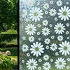 Shimmering White Mum (BJCJ)