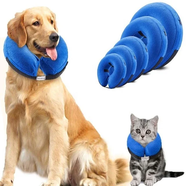 protective inflatable pet collar