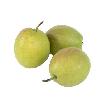 top quality export Price Fresh Fruit Pear For Sale