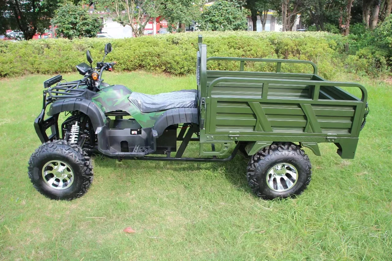 800w Lithium Battery Cheap Mini 36v 72v Electric Quad Atv 4x4 Adult