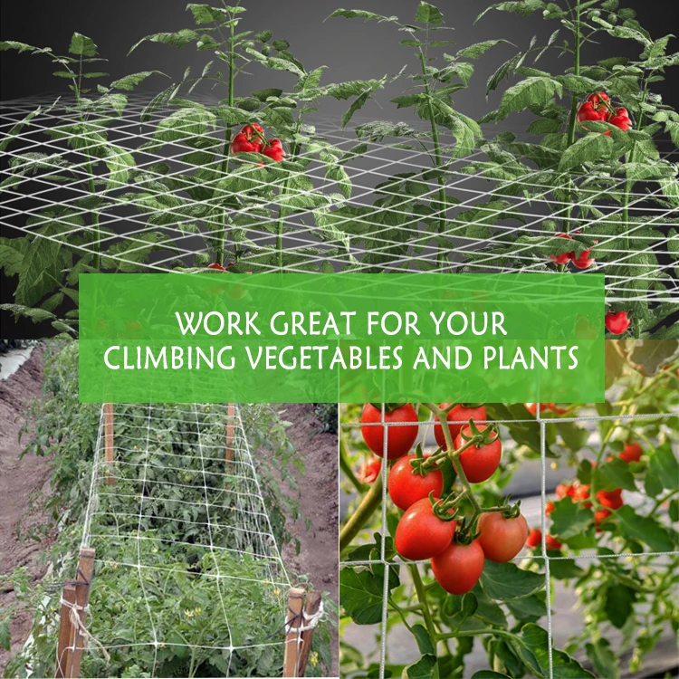 White Soft 5x350ft Nylon Plant Trellis Netting 6 Inch Mesh Polyester