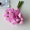 rosa rosa