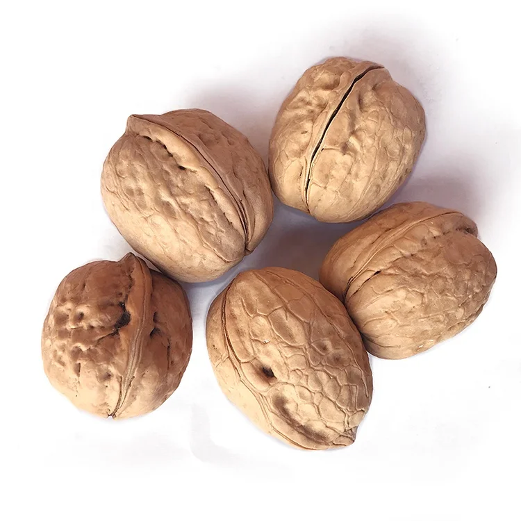 
dried fruit kabuklu ceviz walnut kernel walnuts 