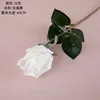 #5-1 bianco