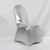 Metallic Silver