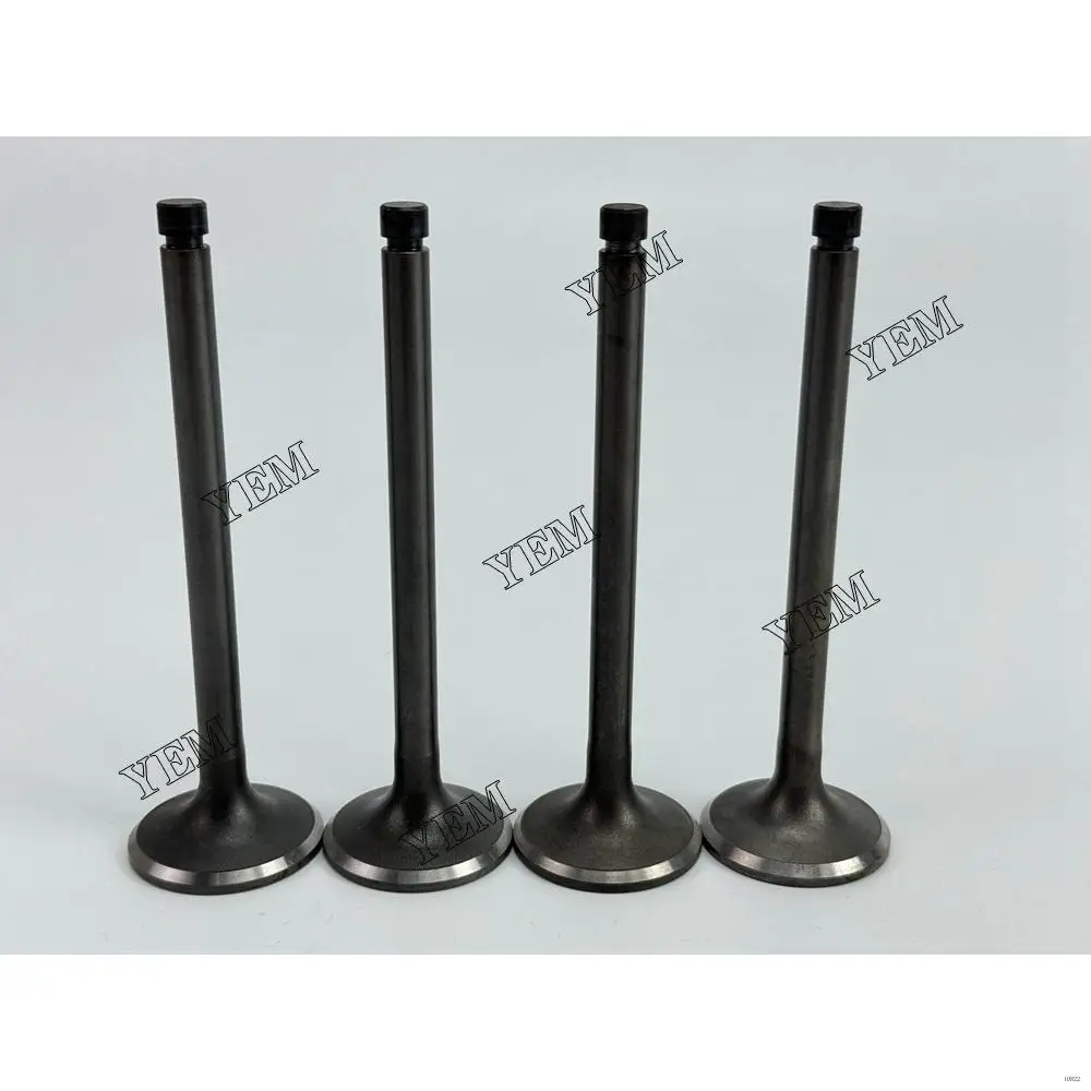 4DQ3 Inlet Valve Kit for Mitsubishi