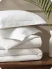 Avorio