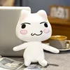 Gato sonriente blanco