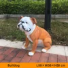 CSSMQ-011| Bulldog de 58x36x50cm