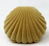 Albaricoque shell box 6.8x5.5x3cm