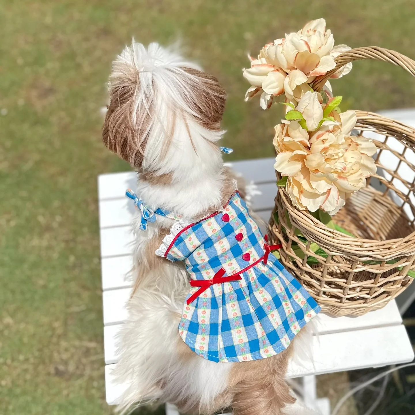 dog dress design EASY pattern and way to make dog dress