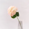 Rose clair-une tige