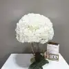 FB062    FB062