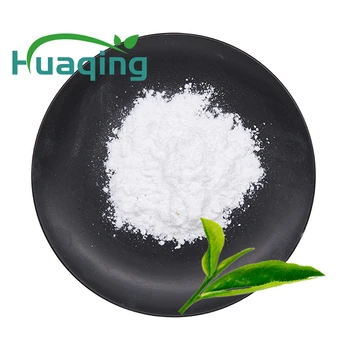 Natural Green Tea Extract Powder Egcg Epigallocatechin Gallate 95% 98% ...