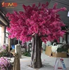Rose vif1