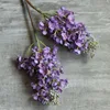 Pu2 orquídea morada